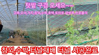 참외,수박,터널재배 터널시공~ 솔림농원 텃밭 구경 오세요~ 주말농장,귀농,귀촌,전원일기~