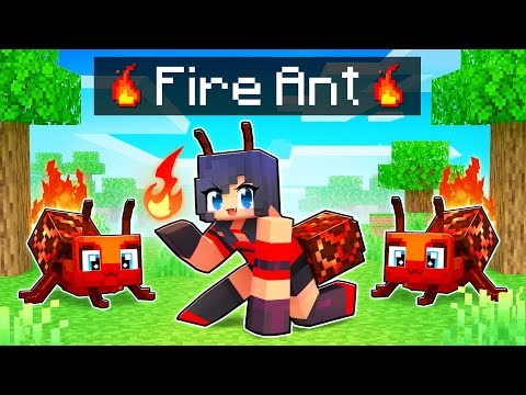 Aphmau - Playing As A FIRE ANT In Minecraft!