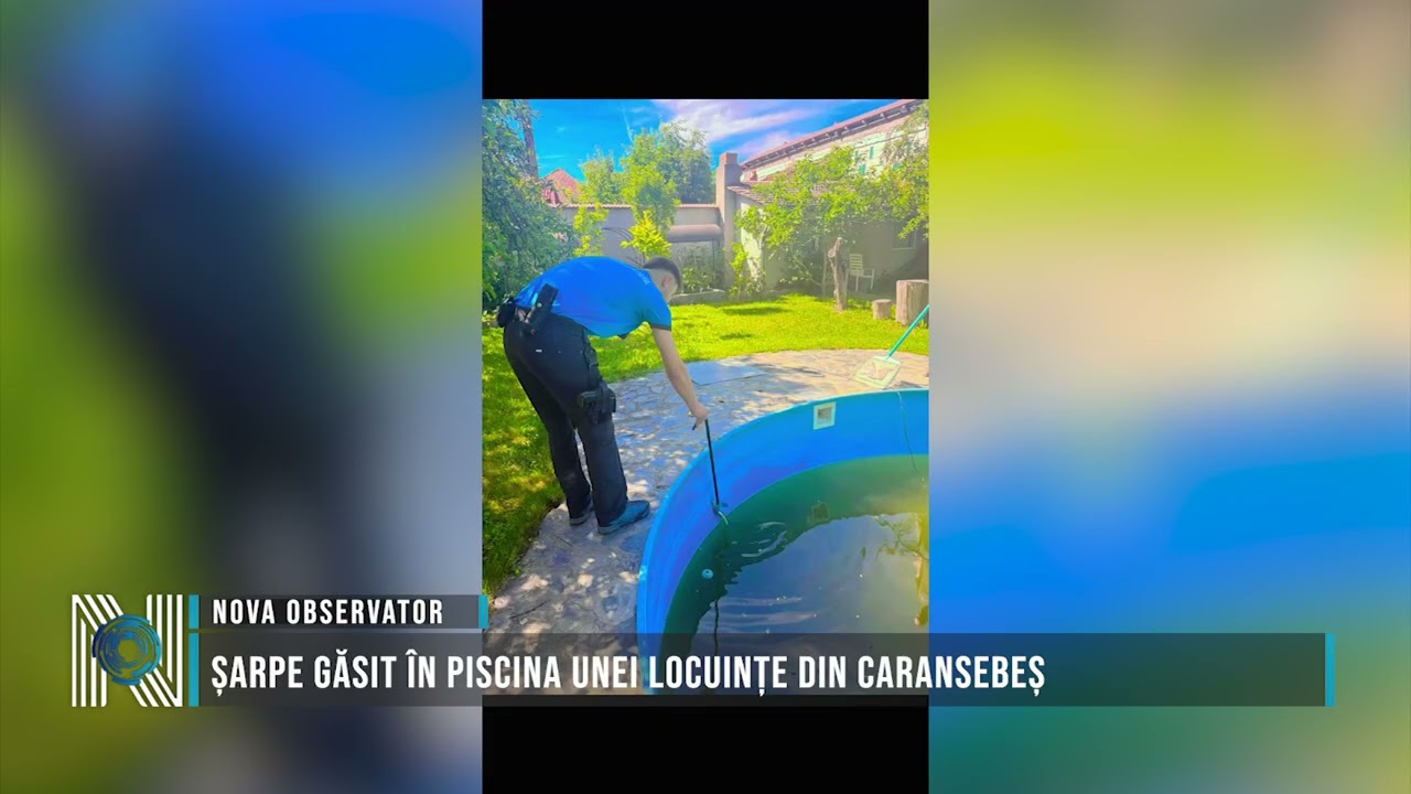 Șarpe găsit în piscina unei locuințe din Caransebeș