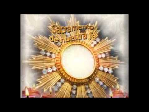 download lagu mp3 mp4 Sacerdocio Real, download mp3 Sacerdocio Real free download mp3, download mp3 Sacerdocio Real