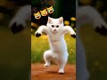 Ashu Cartoon Video Cat Dance