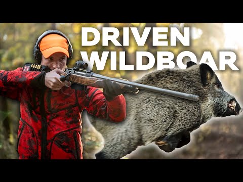 Franz-Albrecht Shares his Wild Boar Secrets on an Action Packed Drive