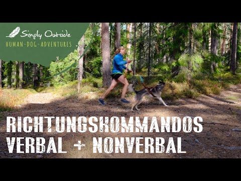 Canicross Zughundesport Kommandos