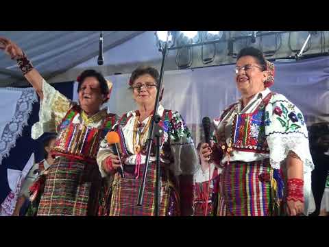 HKUD Mladost Domaljevac