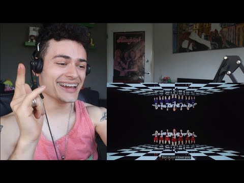 HONEST REACTION TO DREAMCATCHER - 'BOCA' 'BEcause' 'Scream' & 'Odd Eye' MV's REACTION