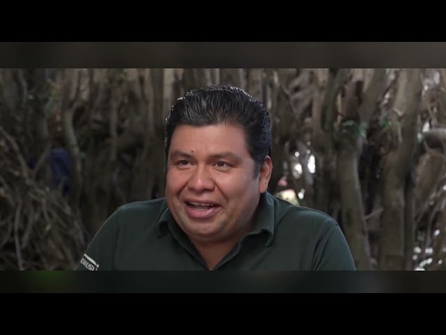 Guatemala contra la desnutrición infantil