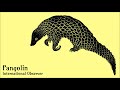 International Observer - Smash the System Dub