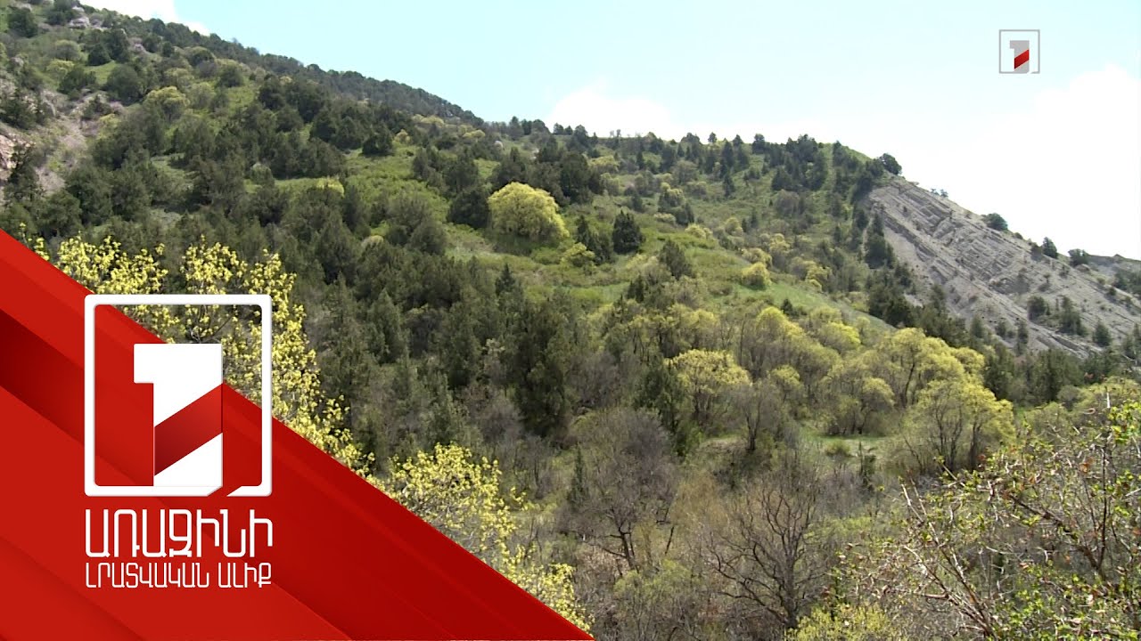 Անտառային հողը վարձակալելու պարտադիր պայման են դարձել ներդրում անելը, աշխատատեղ բացելը