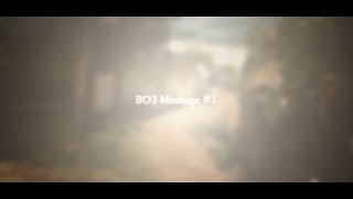 BO3 Minitage #1