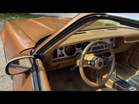 1979 Pontiac Firebird Formula (CC-2094279) for sale in Milford, Ohio