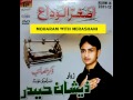Zeeshan Haider 2012 Saraiki Mukaan