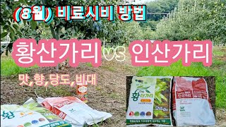 (8월) 비료시비 방법(황산가리vs인산가리,염화칼슘,초산칼슘)