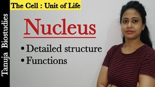Cell : The Unit of Life | Endomembrane System - Nucleus | Nucleolus | Class 11 Biology/NEET/AIIMS