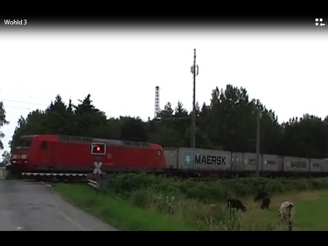 Güter Bahnverkehr Braunschweig - Magdeburg (3)