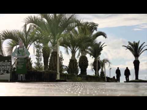 Wonder About Sochi? 2014 Olympic Host City Offers Sun, Snow