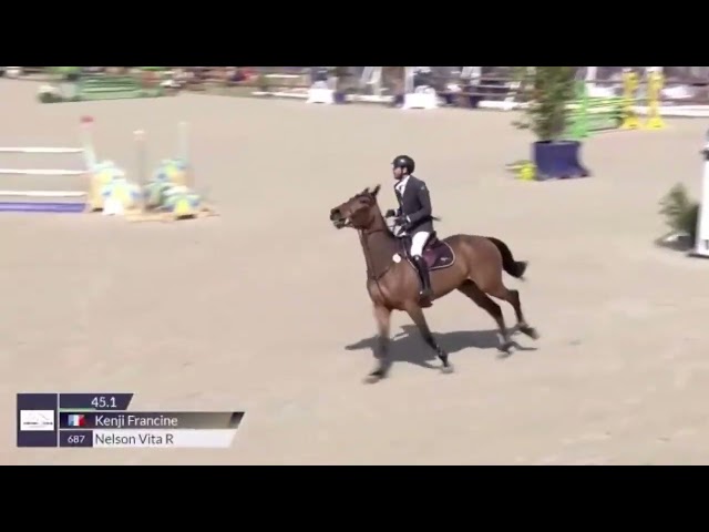 Top hongre 7 ans (2018) SF 140 TOP 7 