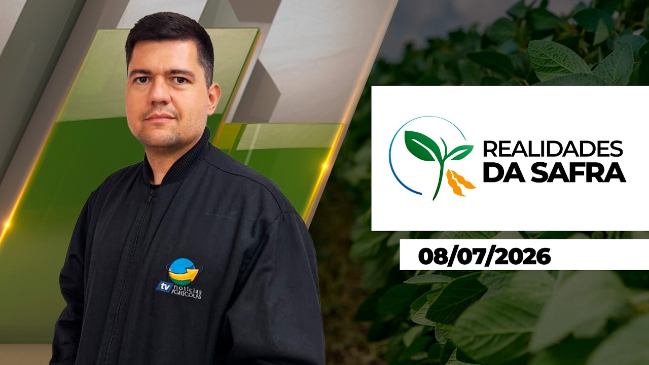 Colheita de milho ganha ritmo em alguns estados, mas  produtores de Goiás já contabilizam  perdas