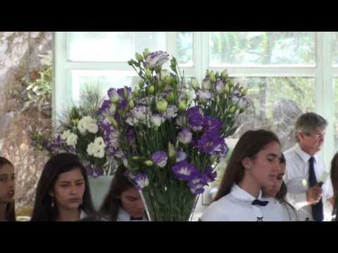 PEDI LICENÇA - FLOR DE JAGUBE - GERMANO - 51