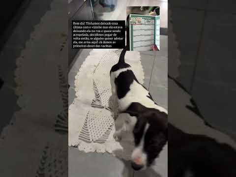Vídeo de Não possui