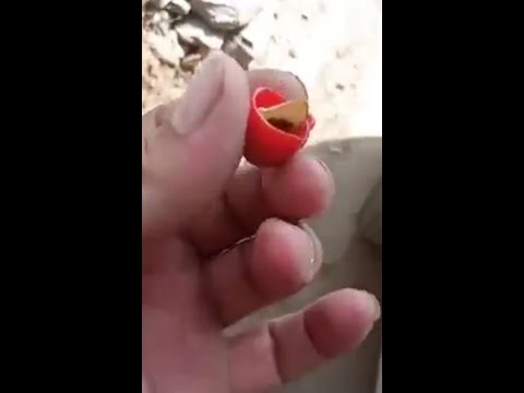 ما قصة الكبسولات التي تشعل النيران