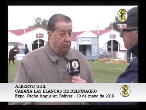 19-05-16 NOTA ALBERTO GUIL - CABAÑA LAS BLANCAS DE DELFINAGRO 02 - EXPO BOLIVAR - BOLIVAR.
