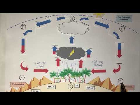 Der Passatkreislauf / die Passatzirkulation - einfach erklärt! 🌎🌴