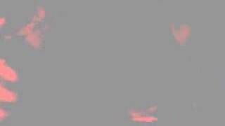 The Casualties - Fight for Your Life