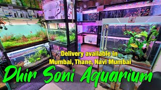 New Fish Stock at Dhirsoni Aquarium in Thane I Delivery Available in Mumbai, Navi mumbai & Thane