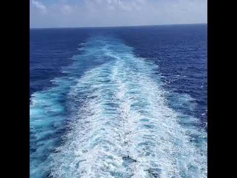 Video 2