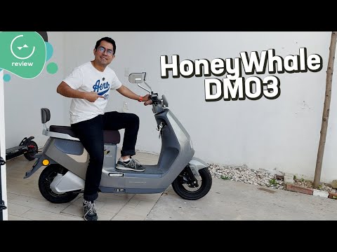 HoneyWhale | Review en español