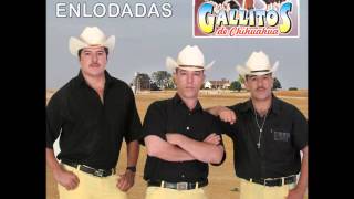 Los Gallitos de Chihuahua -Calles Enlodadas(Album Completo)