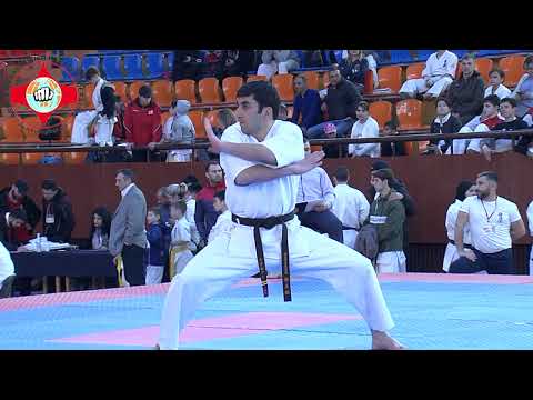 Seienchin kata in Kyokushin karate, participant Artsrun Misakyan, Yerevan 2019
