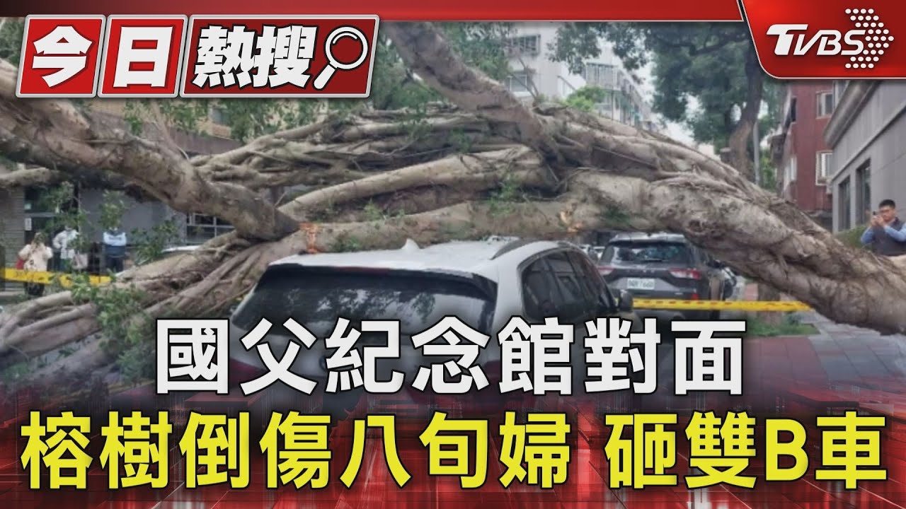 國父紀念館對面　榕樹倒傷八旬婦　砸雙B車