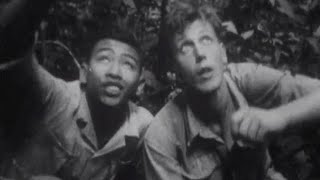Young David Attenborough Looks for an Orangutan | Zoo Quest for a Dragon | BBC Earth