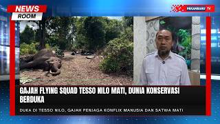 Gajah Indro Mati, Taman Nasional Tesso Nilo Kehilangan Aset Berharga
