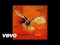 The Airborne Toxic Event - The Storm (Audio)