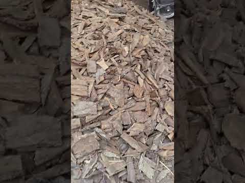 Bark Chaal Chal Sheesham Parul Padal Paddal
