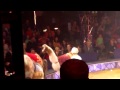 Big Apple Circus Nov 2014 015