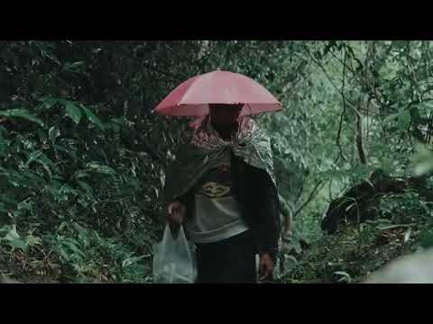 Surviving Against All Odds in the Philippines