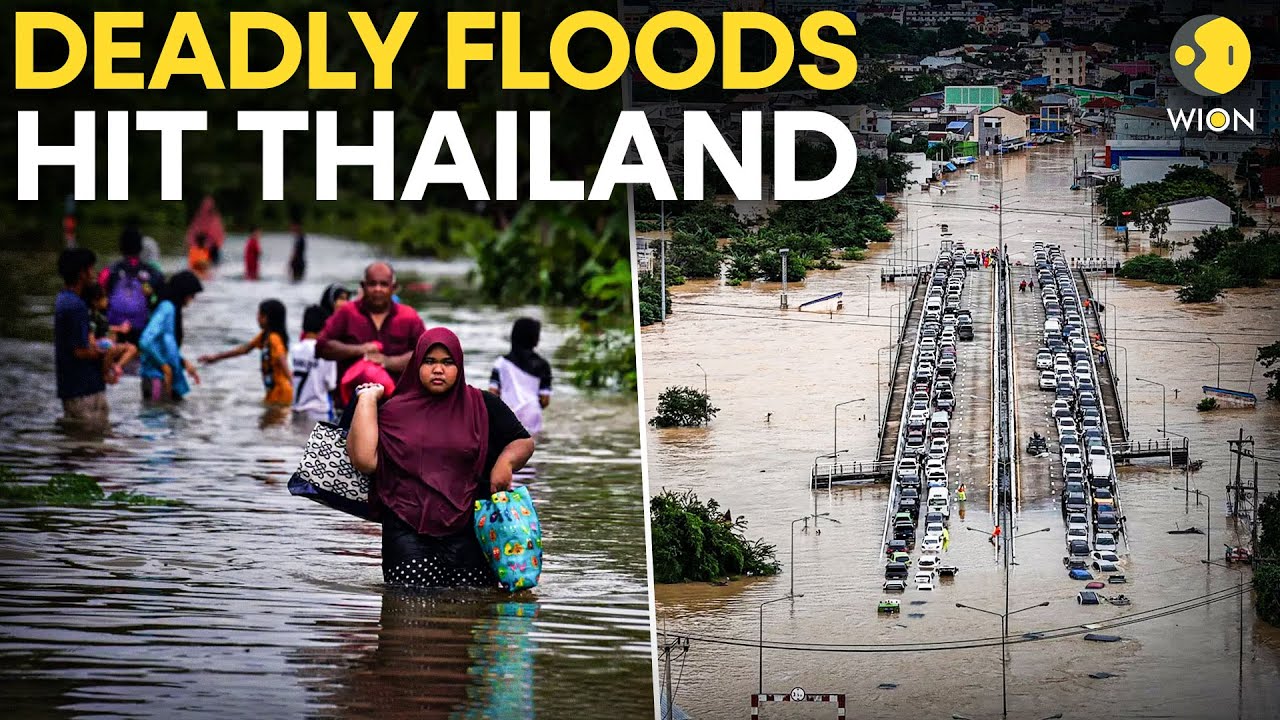 Thailand Floods LIVE: Nearly 2 Million Affected By Severe Flooding; Military & Rescue Teams Deployed