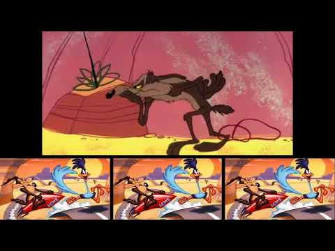 Wile E. Coyote and The Road Runner Part 4