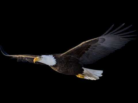 Isqiyaas Mazammir - Oromiyaa (Instrumental)