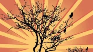The Sunburst Band - Atlantic Forest