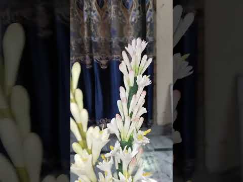 Tube Roses With Gum paste Edible Flowers