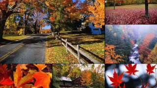 Easy to love by Diane Schurr