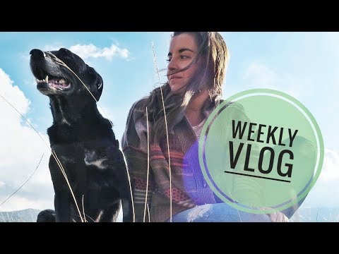 Weekly Vlog #1 - una settimana piena di impegni! | Giorgia Turco