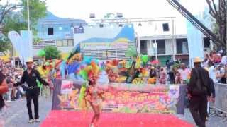 preview picture of video 'Carnaval 2013 - GUIMBO ALL STARS - Mardi Gras à Basse-Terre  - arrivée devant le jury.mp4'
