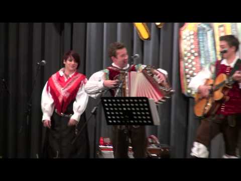 Ansambel Jerneja Kolarja-Sanjam o domovini (v živo)