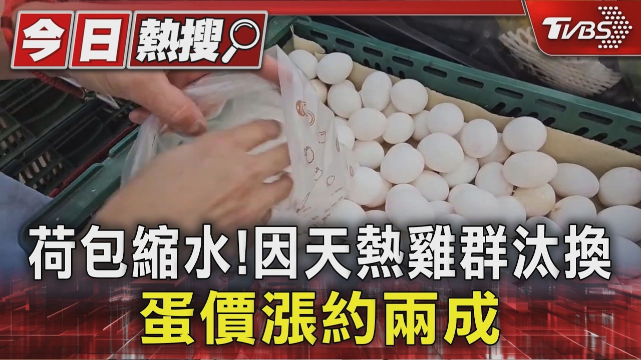 影音/蛋荒又來了?超市到貨量減4成、蛋價漲2成 農業部澄清:非長期缺蛋