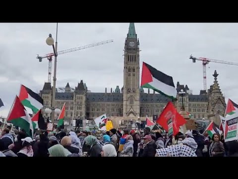 LILLEY UNLEASHED Openly cheering for terrorism in Canada